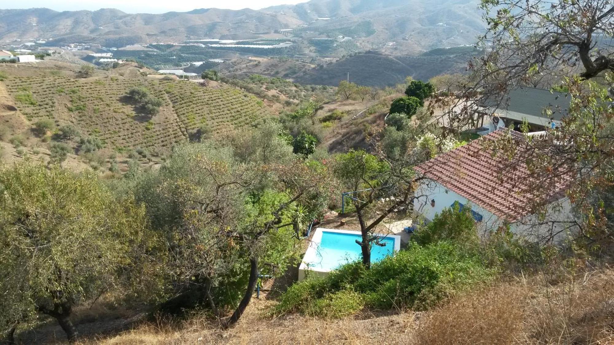 Casa Feliz Villa Iznate Dış mekan fotoğraf