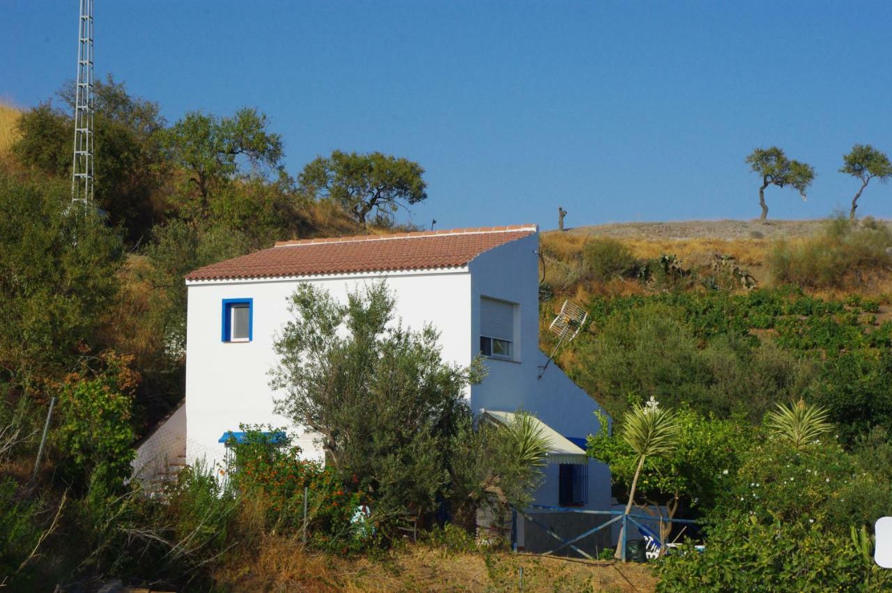 Casa Feliz Villa Iznate Dış mekan fotoğraf